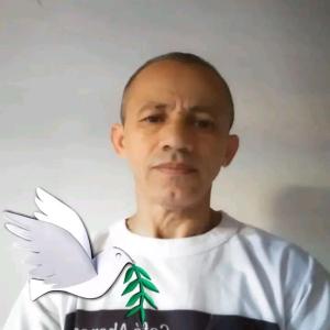 ribaeloi